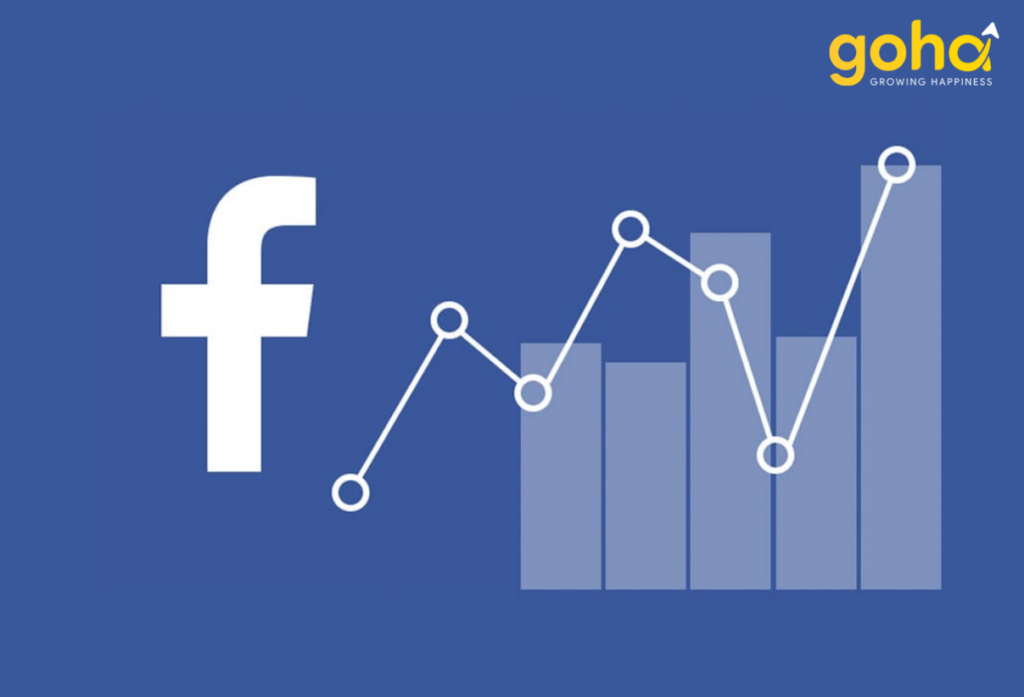 can-theo-doi-hieu-suat-hoat-dong-cua-facebook-ads-thuong-xuyen