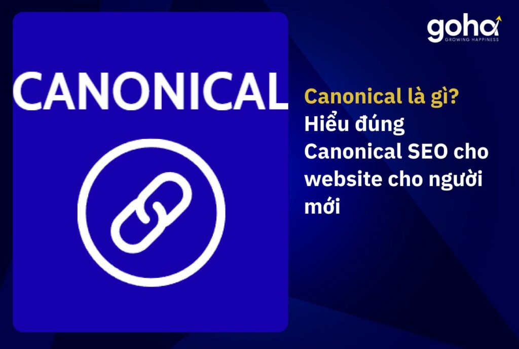 Canonical là gì? Hiểu đúng Canonical SEO cho website cho người mới